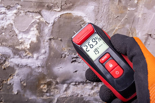 Best Best Mold Removal Companies  in Anza, CA