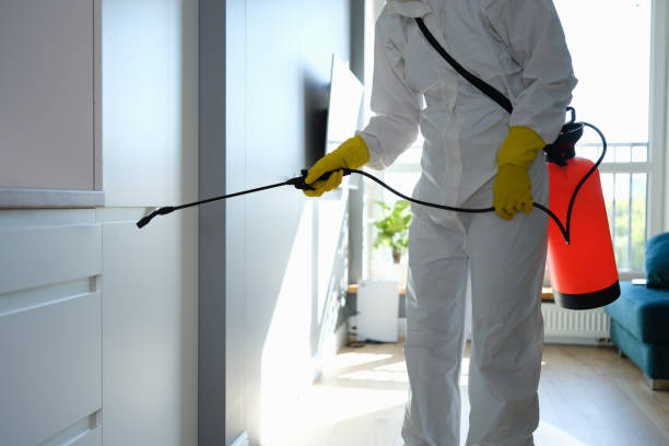 Best Home Mold Removal  in Anza, CA