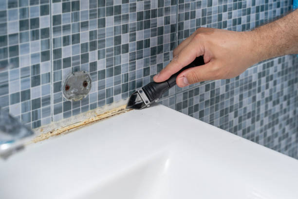 Best Fast Mold Removal  in Anza, CA
