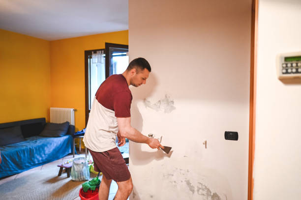 Best Crawl Space Mold Removal  in Anza, CA