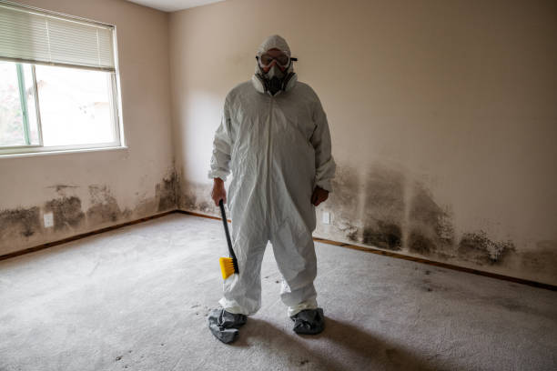 Best Crawl Space Mold Removal  in Anza, CA